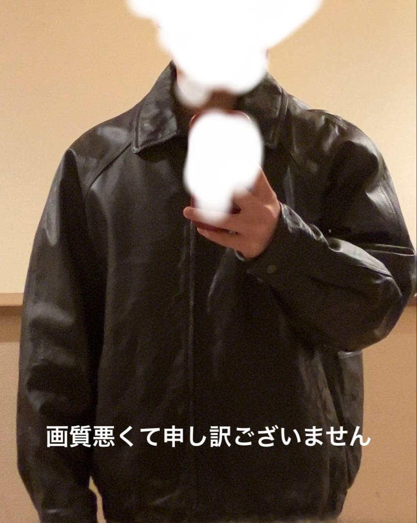 St.John’s Bay 短丈 本革 レザージャケット ダークブラウン