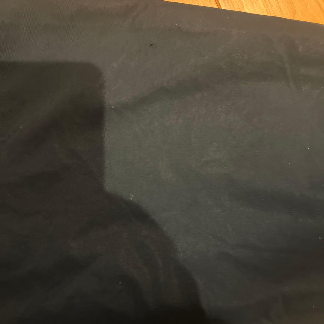 シェルドシンチラ