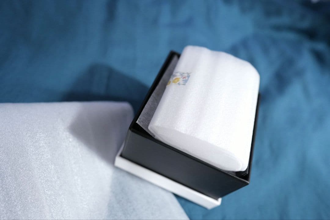 CITIZEN L〝Unite with Blue〟