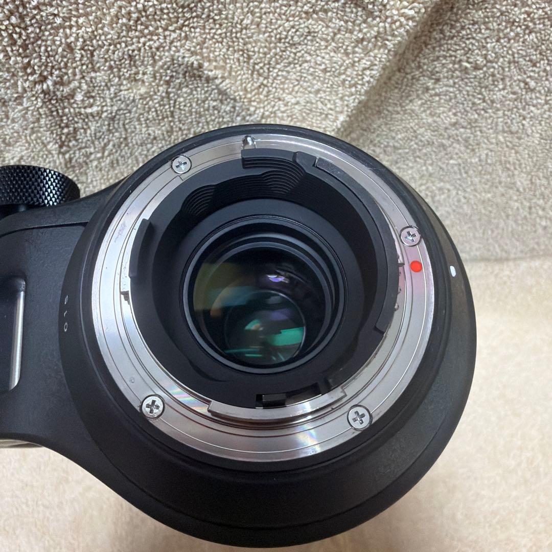 Sigma 150-600mm F5-6.3 DG OS HSM ニコンF