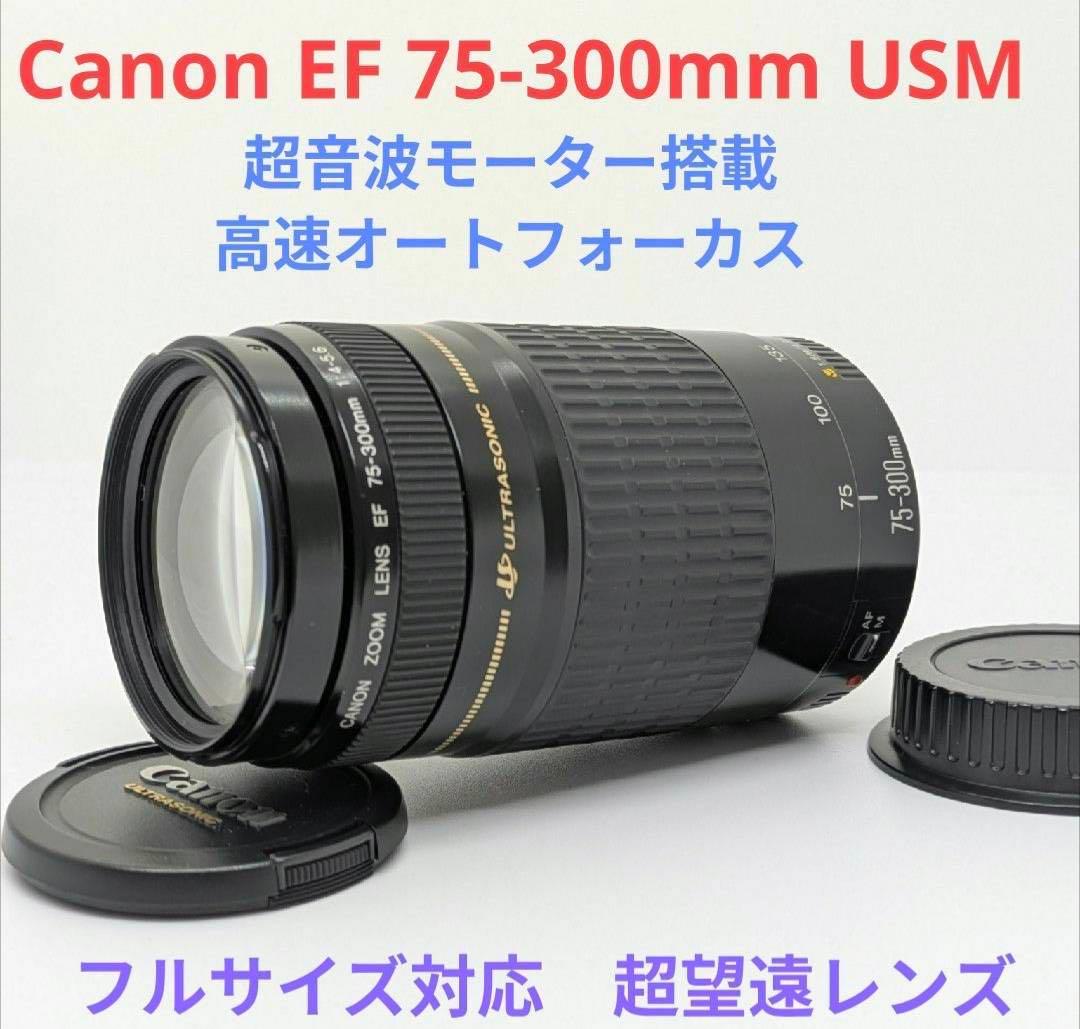 超音波モーター搭載【超望遠レンズ】Canon EF 75-300mm USM