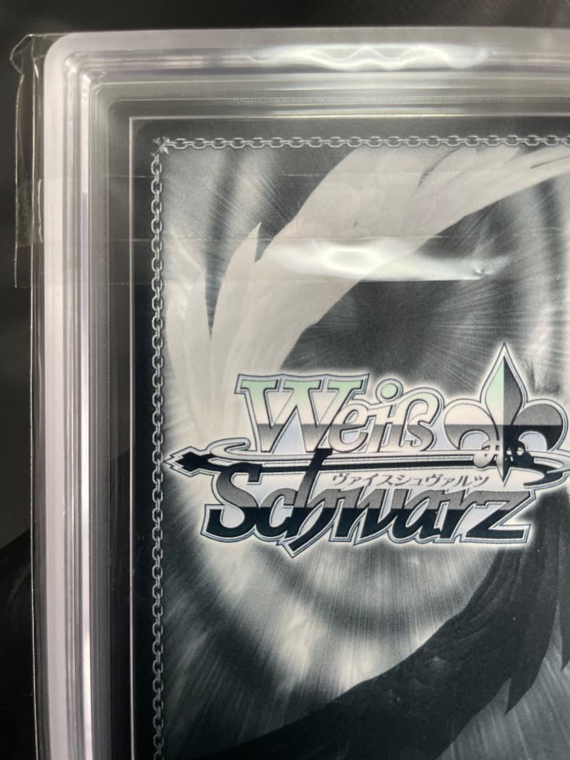 【ARS10＋】ラフィーsp