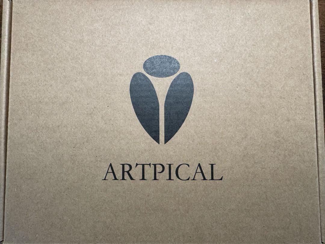 【ほぼ新品】ARTPICAL MICHAEL