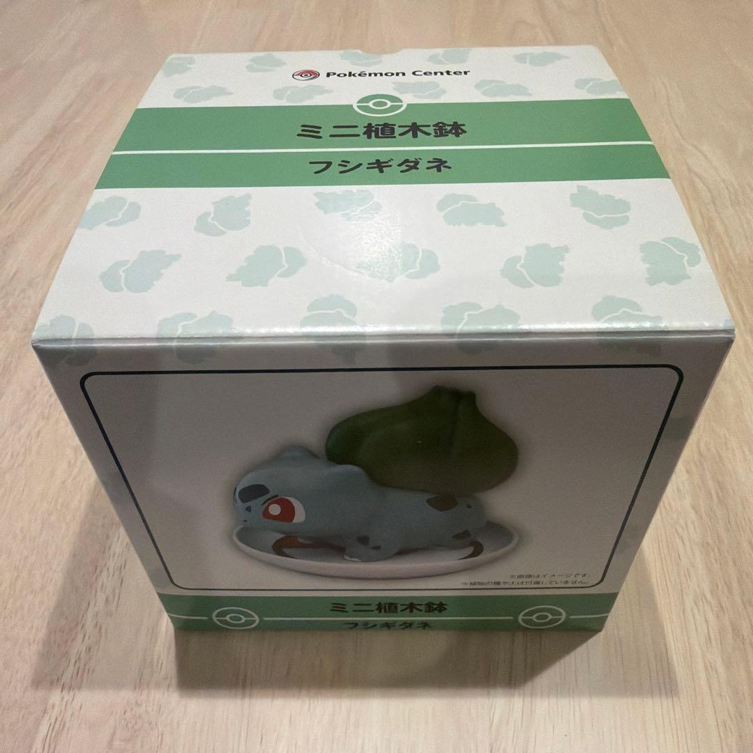 未使用　ポケモンセンター　フシギダネ　ミニ植木鉢