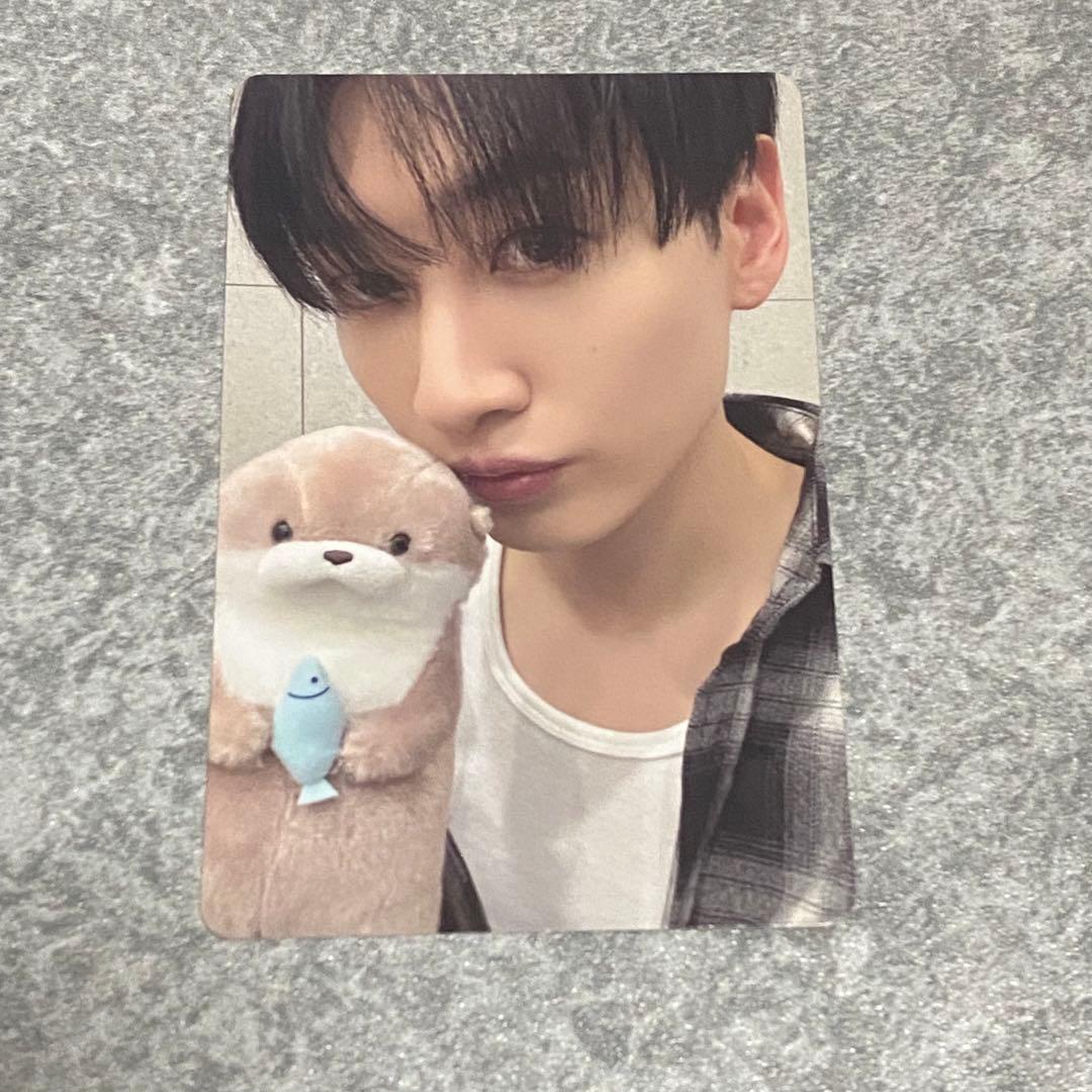 sj market 購入特典トレカ ウニョク super junior