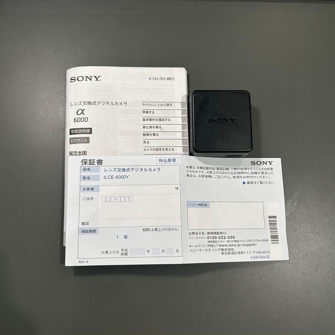 ［値下中］SONY α6000 ILCE-6000Y ダブルズームレンズキット