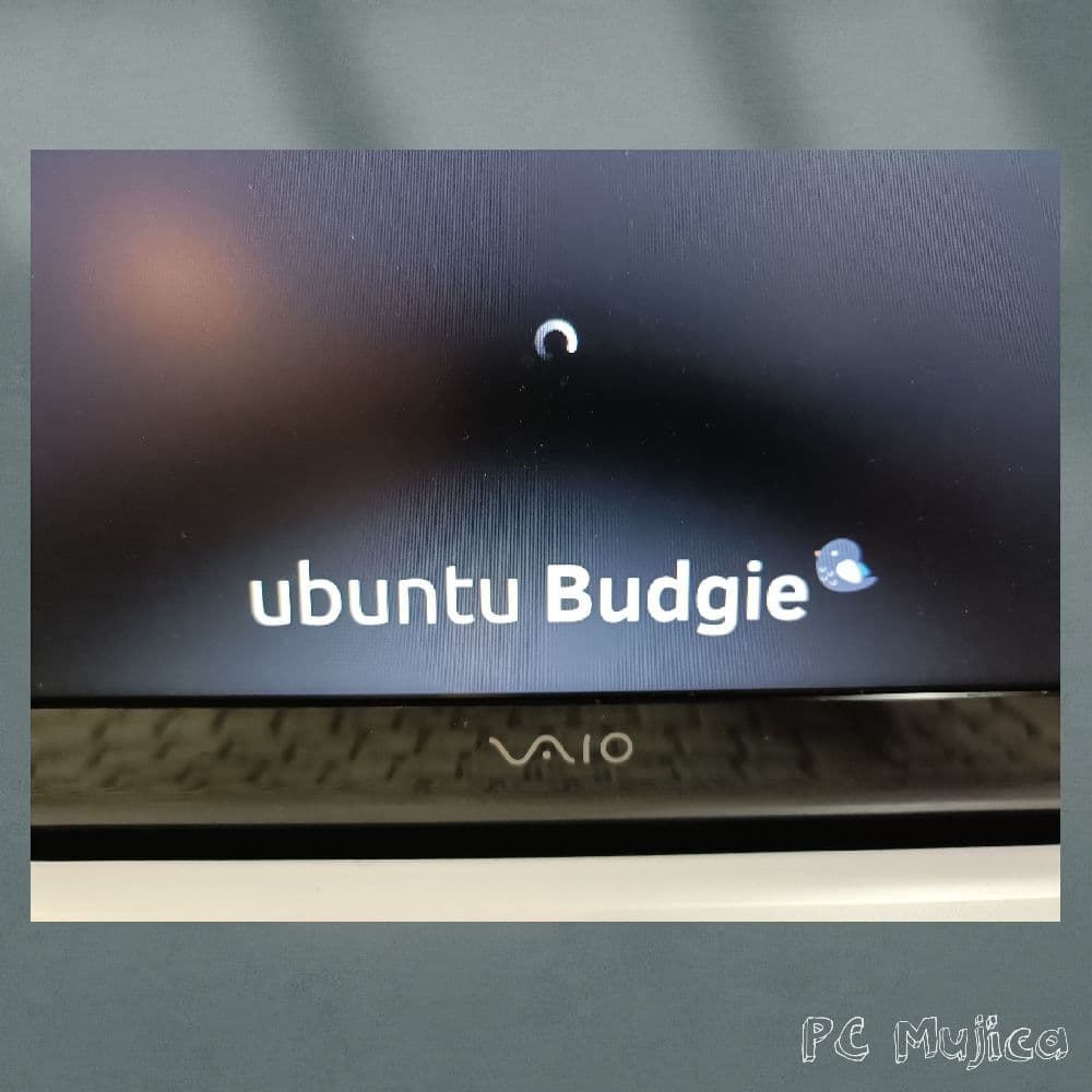 VAIO ノートPC 15.5インチ Core i5 SSD 500GB