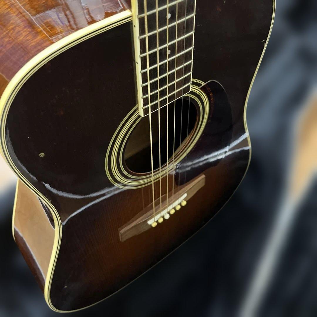 Ibanez Performance PE-15TV ハードケース付