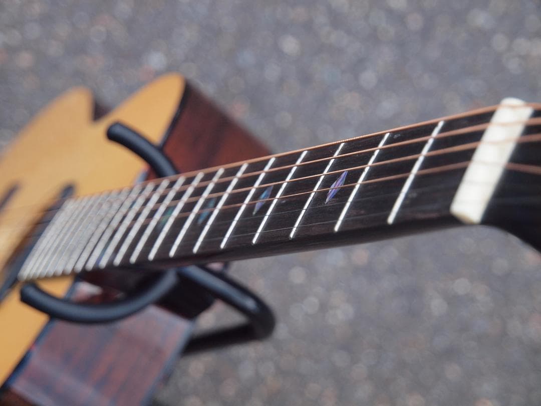 Recording King アコースティックギター RO-G6