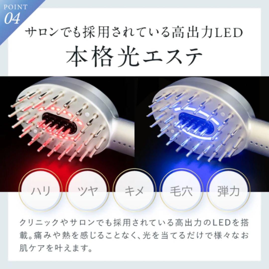 【値下中】NIPLUX EMS CARE BRUSH 美顔器NP-ECB24BK
