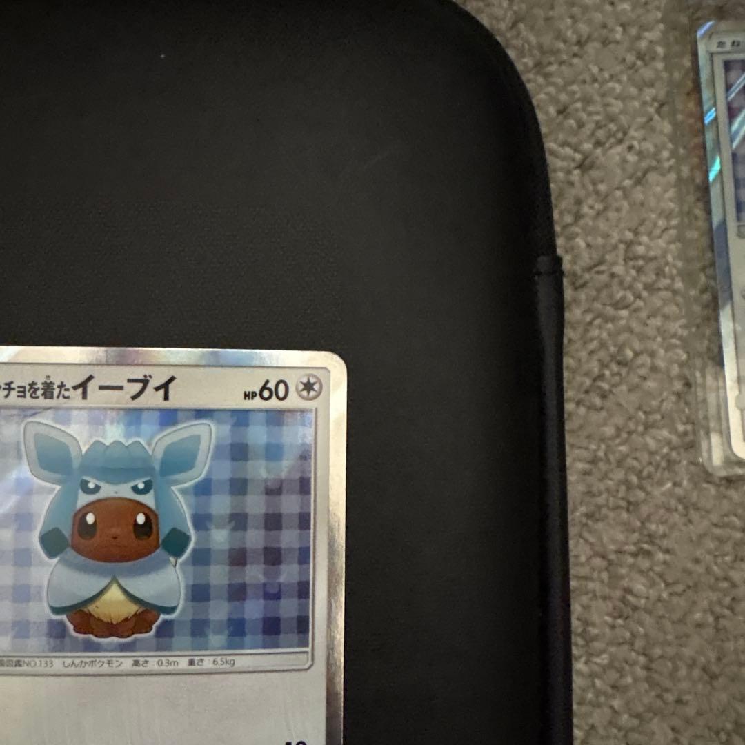 ポンチョを着たイーブイ（グレイシア） PROMO