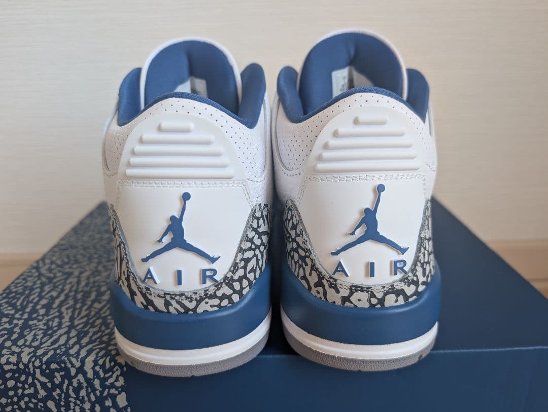本日限り！新品未使用Air Jordan 3 ウィザーズ　25cm