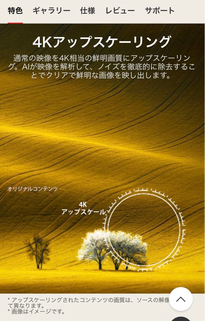 【新品】65V AI ThinQ 液晶テレビ webOS