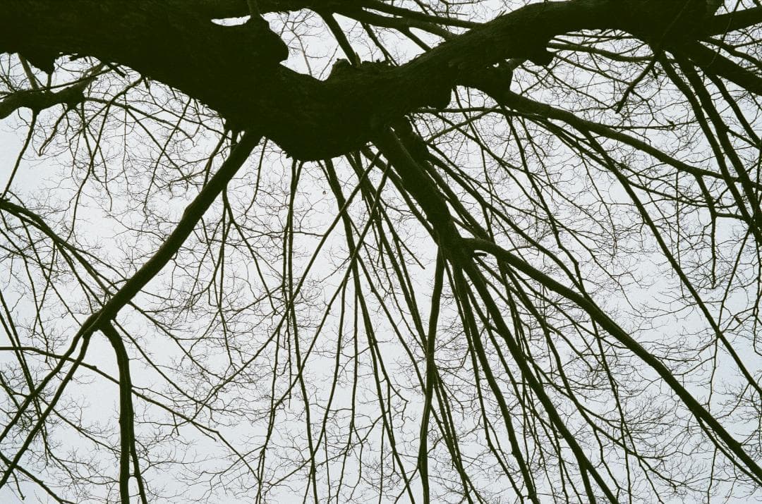 東京光学　Topcor 50mm f/3.5 レンズ　L39