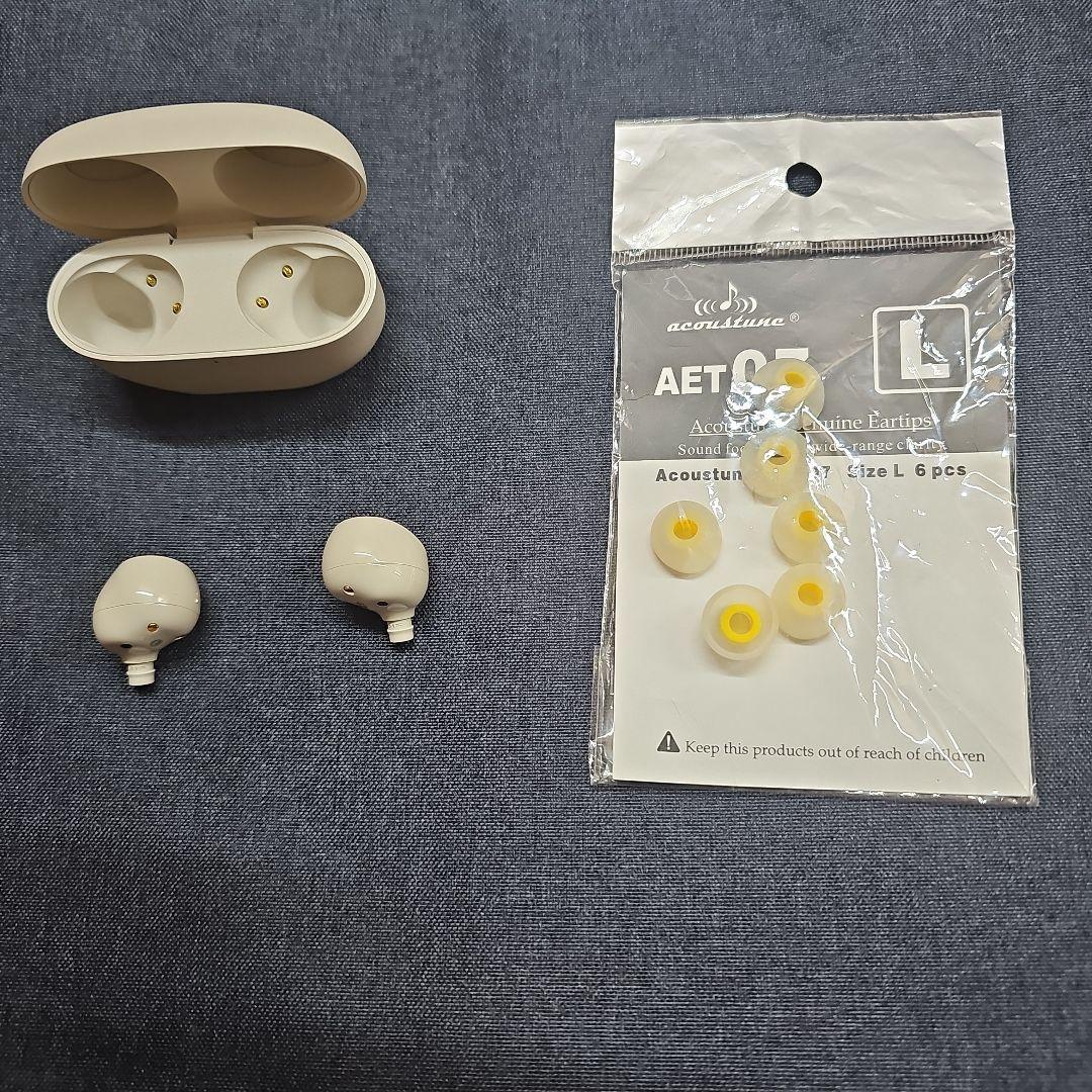 sony wf-1000xm5(英語版)