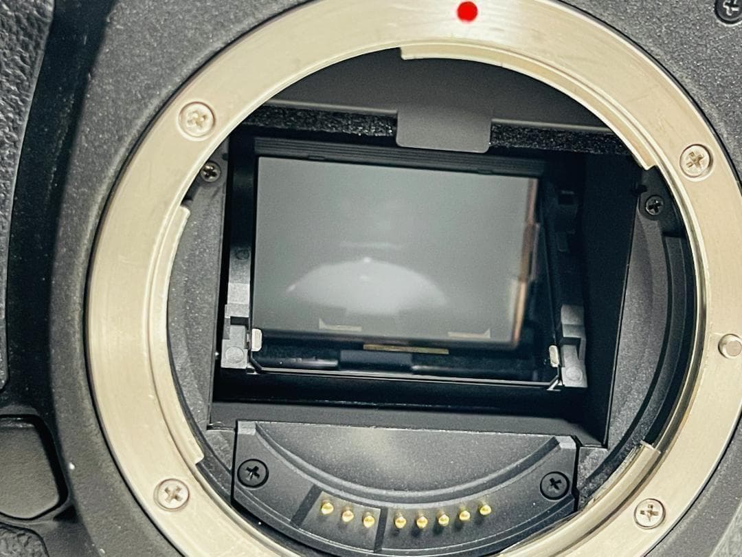 Canon キヤノン EOS 5D Mark III + EF レンズセット