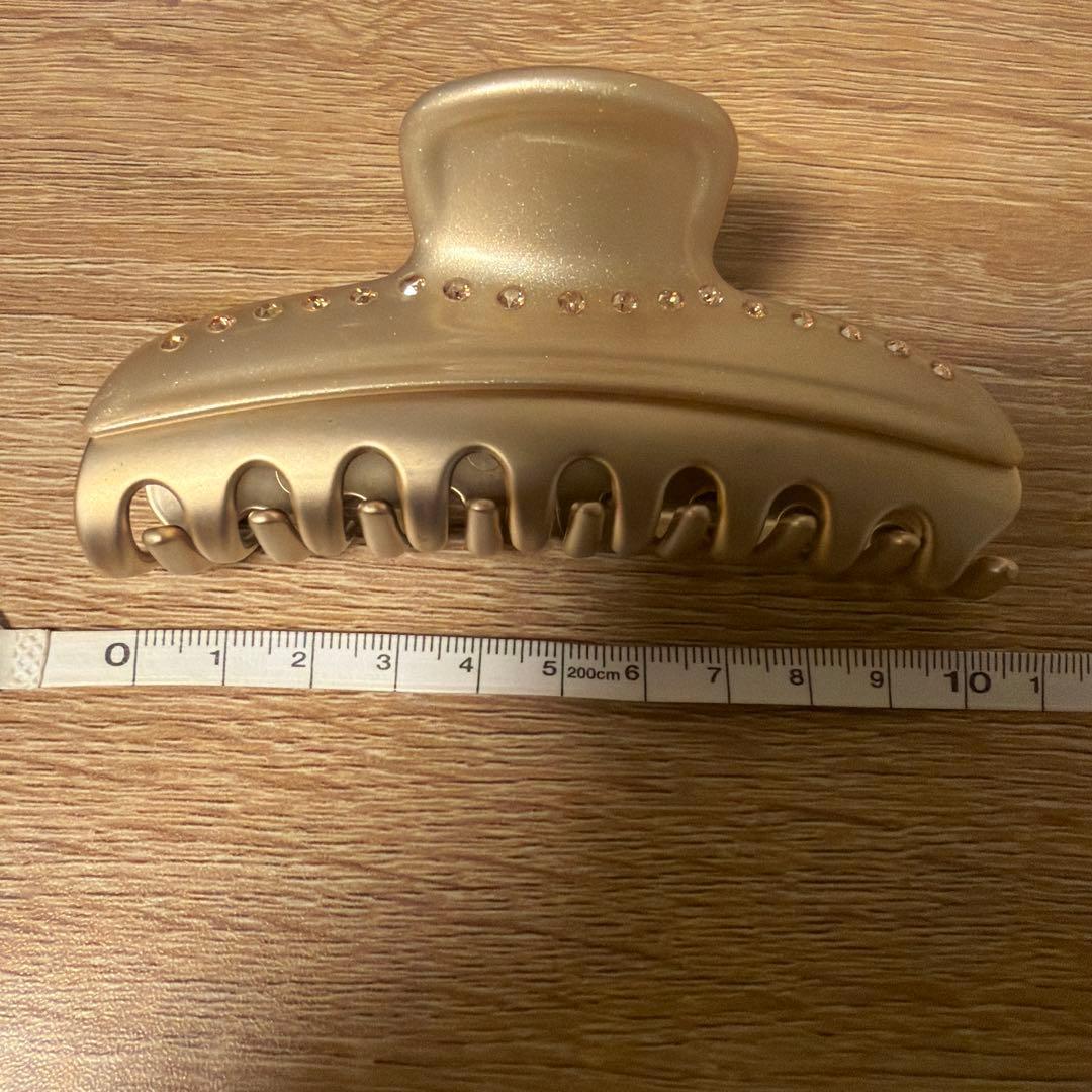 新品　ALEXANDRE DE PARIS L ヴァンドームクリップ　スワロ