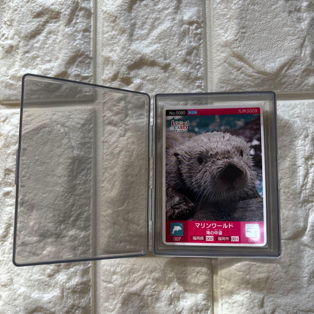激レア　ロゲットカード　マリンワールド海の中道　ラッコ　リロ君