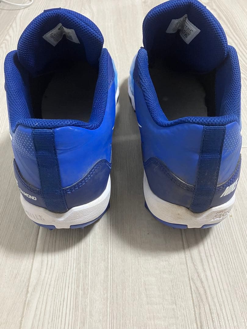 NIKE DIAMOND FASTFLEX 28.5cm 美品