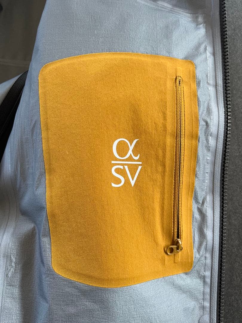 Lee ARC'TERYX アルファSV 24K BLACK 廃盤 正規品