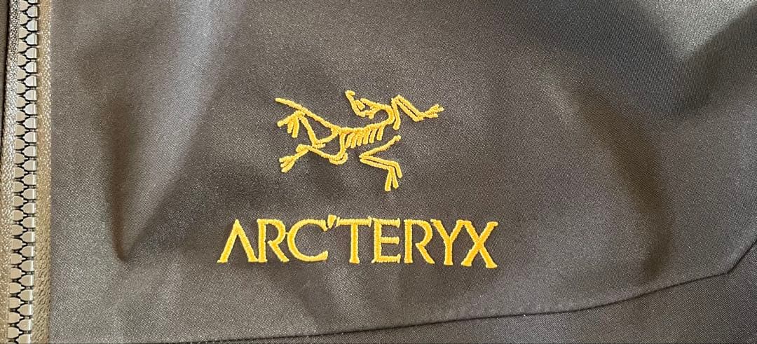 Lee ARC'TERYX アルファSV 24K BLACK 廃盤 正規品