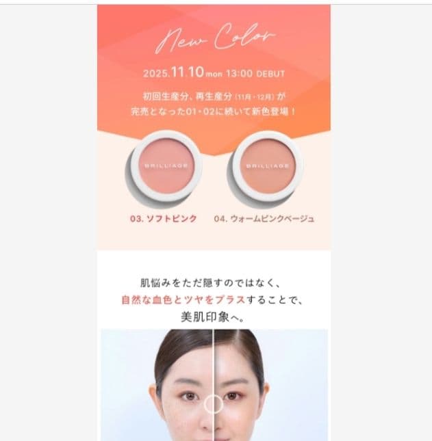 ブリリアージュ カモフラージュコンシーラーチーク 03＆ ワイドフィンガーブラシ