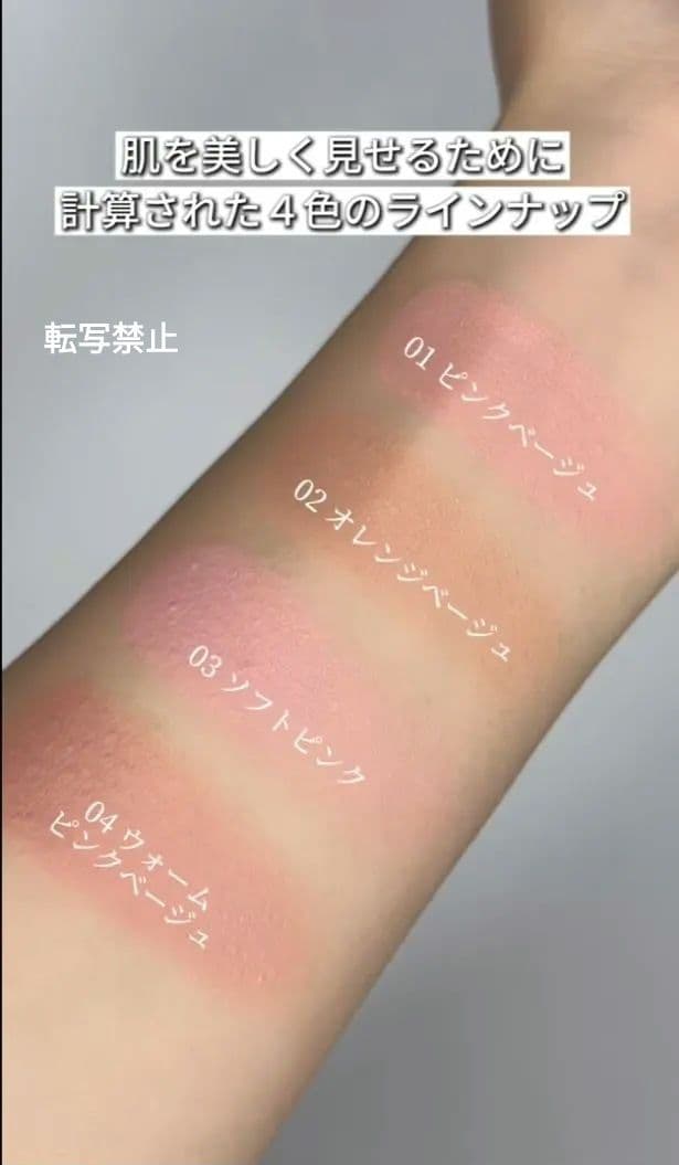 ブリリアージュ カモフラージュコンシーラーチーク 03＆ ワイドフィンガーブラシ