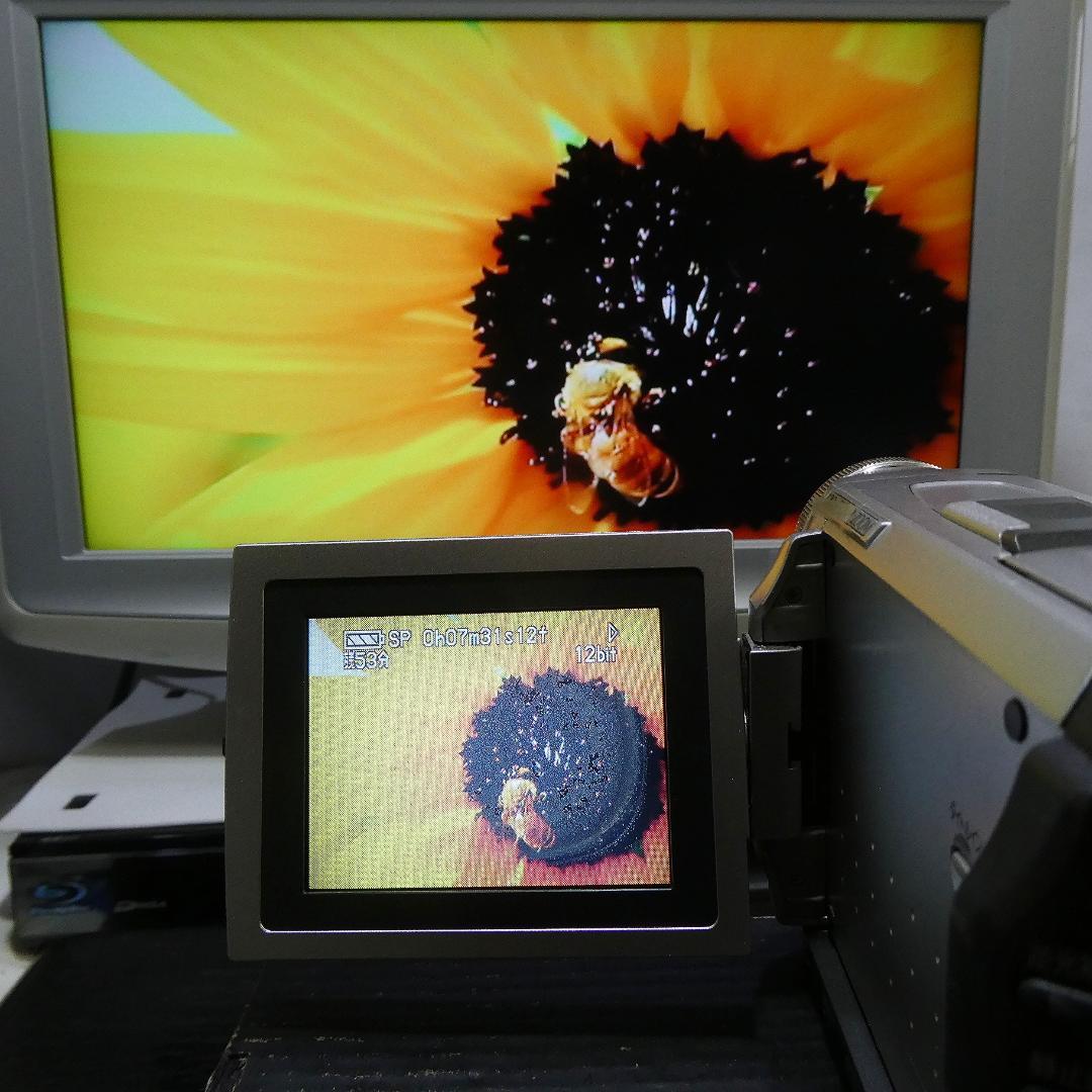 動作良好 パナソニック NV-DS1 MiniDVビデオカメラ ダビングに最適