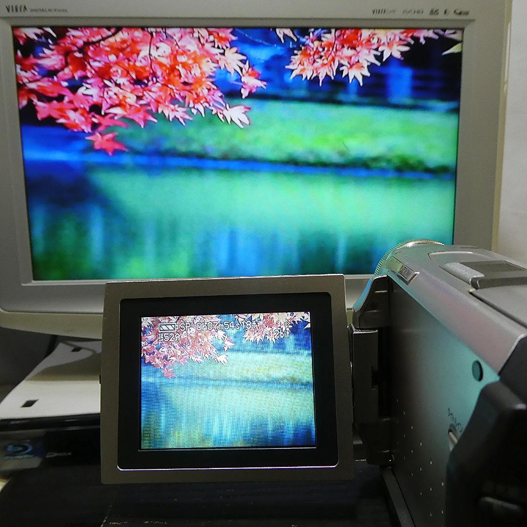 動作良好 パナソニック NV-DS1 MiniDVビデオカメラ ダビングに最適