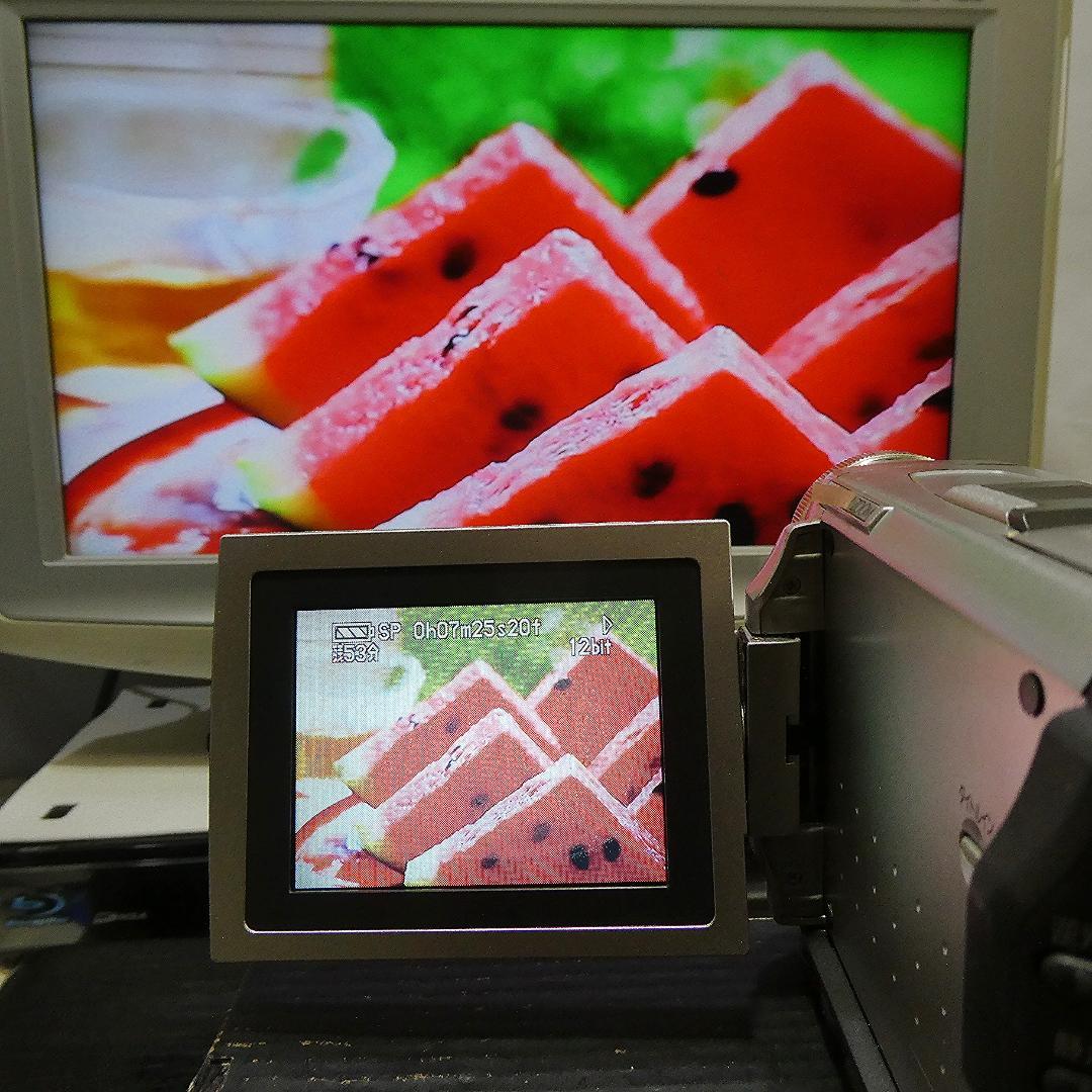 動作良好 パナソニック NV-DS1 MiniDVビデオカメラ ダビングに最適