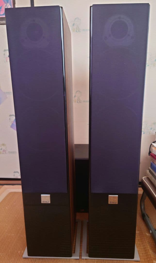 DALI ZENSOR 5 フロアスタンディングスピーカー