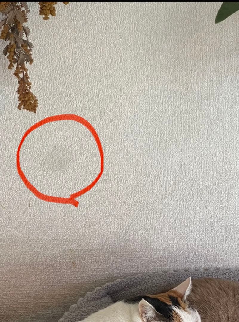 Apple iPhone 12 pro maxブルー