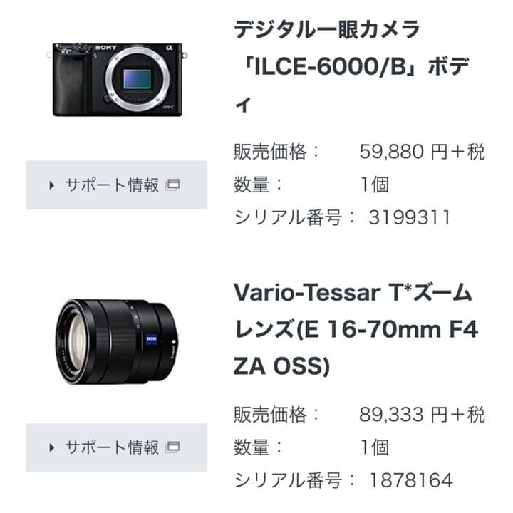 SONY デジタル一眼　Ｅマウント　α6000 SEL1670Z
