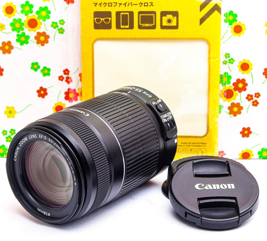 Canon EF-S 55-250mm IS Ⅱ☆手振れ補正☆望遠レンズ