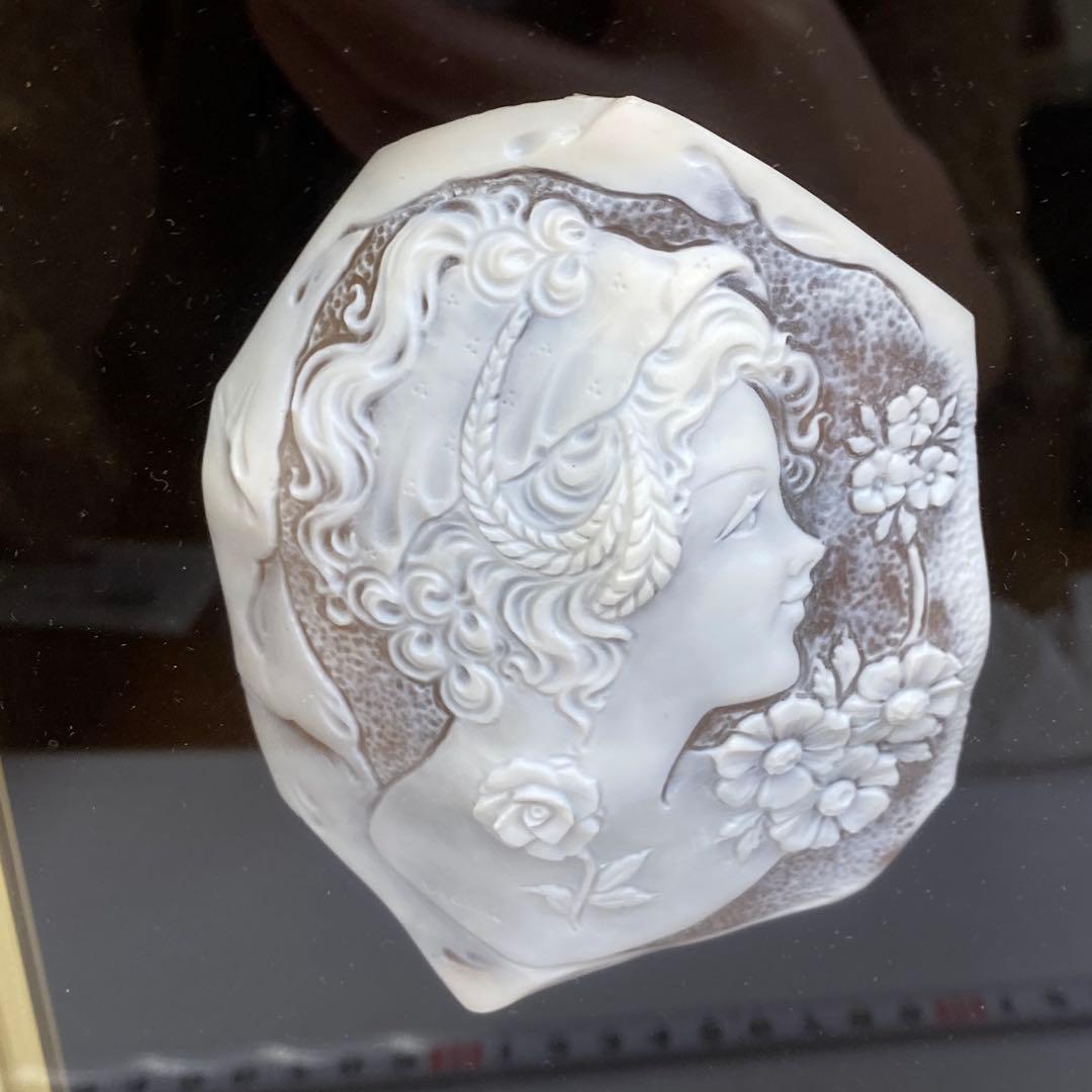 超特大　在銘　シェルカメオ　額装　トヒサコ　東さ7-1031☆1F