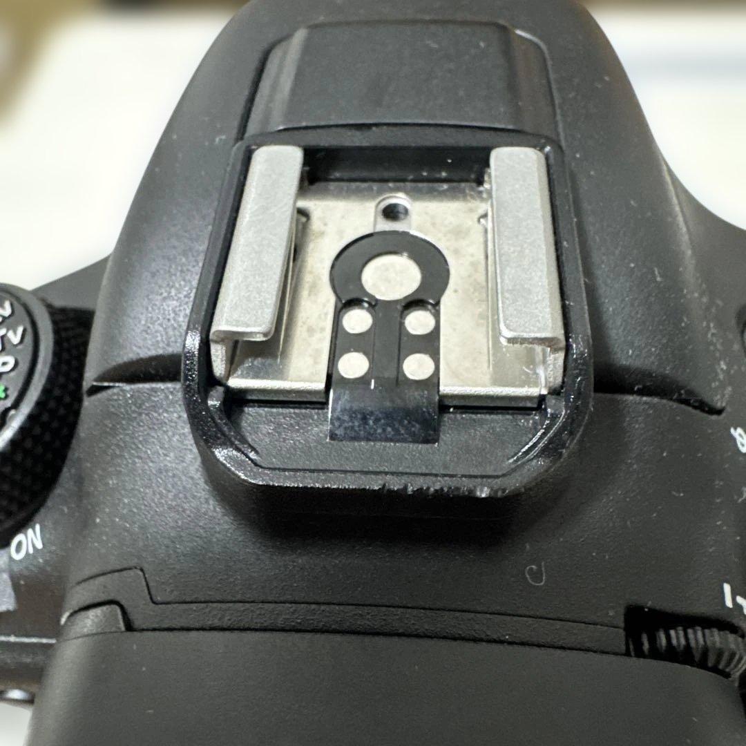 Canon EOS 7D Mark II バッテリーグリップとBG-E16