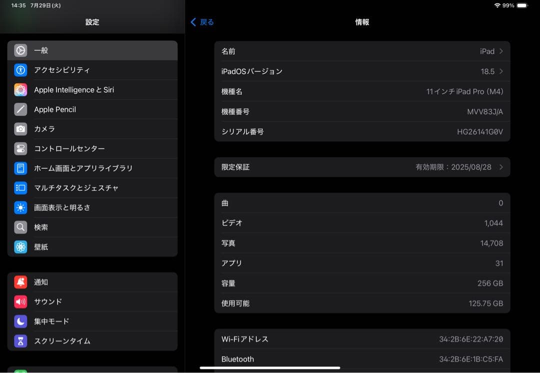 iPadPro11inch 第5世代 M4チップ 256GB