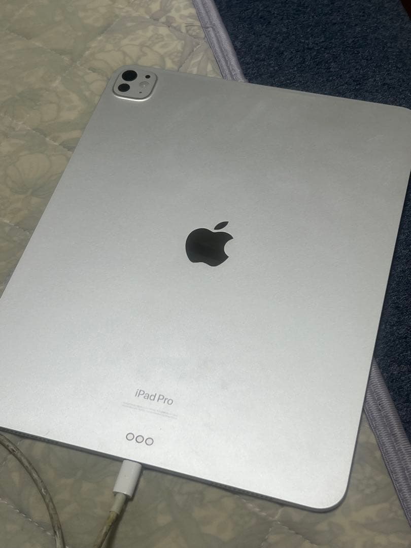 iPad Pro シルバー 本体M42024年256GB バッテリー容量99%