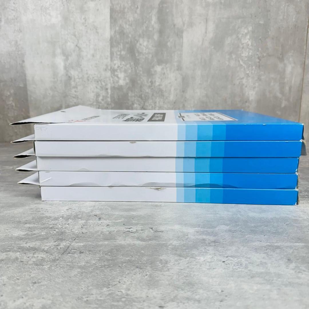 アイリスオーヤマ 集塵フィルター PMAC-100HF 5点セット 未使用品