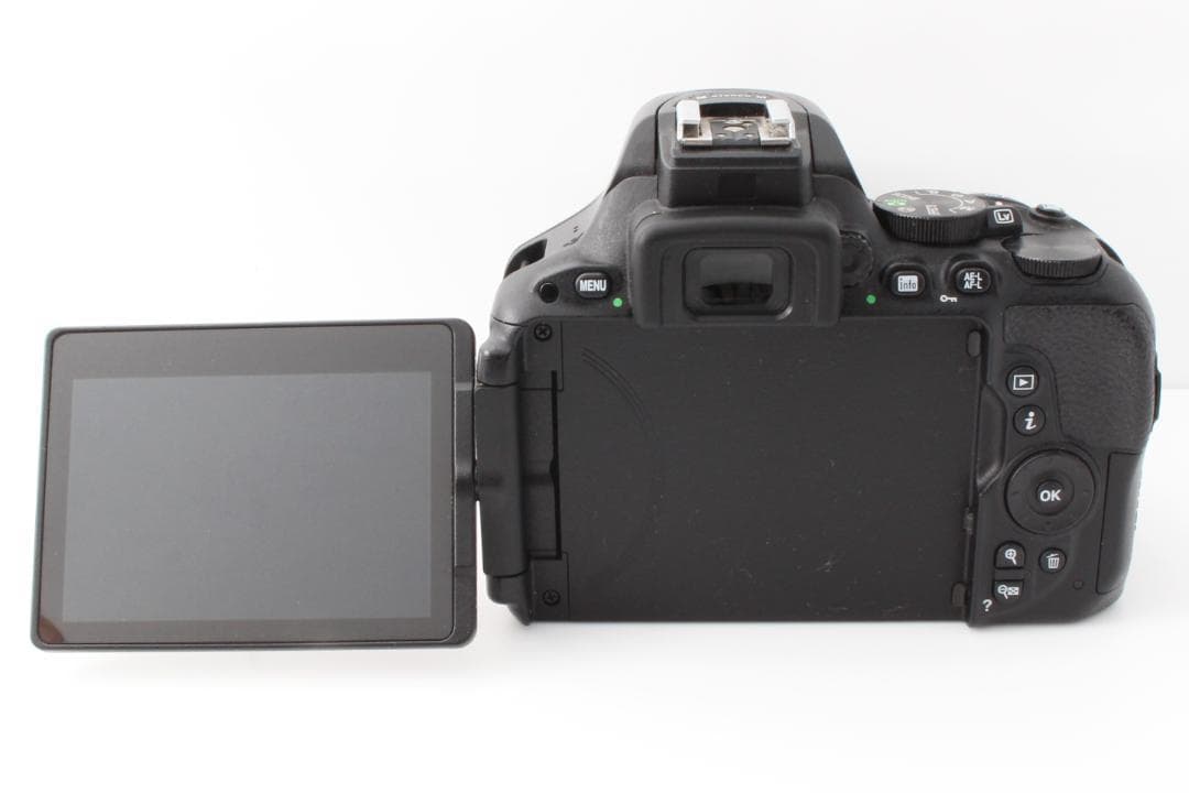 WiFi転送機能★美品★ショット数少 Nikon D5500 レンズキット