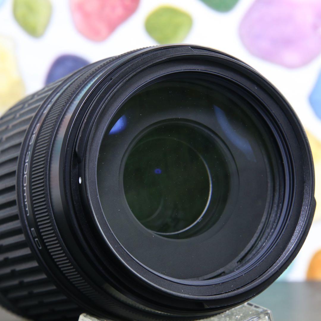 ♥︎◇やっぱり純正♪ ◇PENTAX 55-300ｍｍ ◇望遠