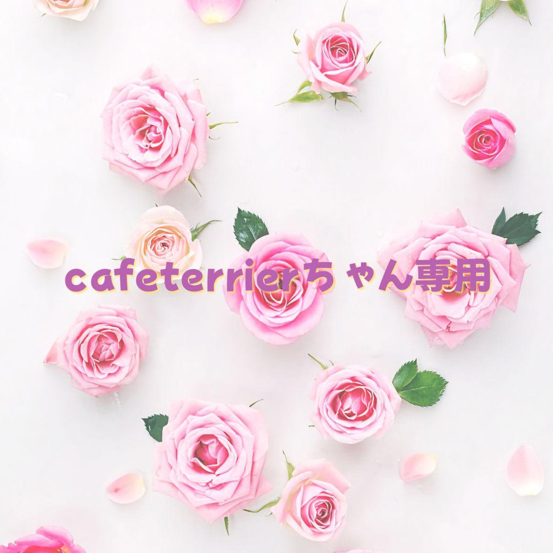 cafeterrerちゃん専用