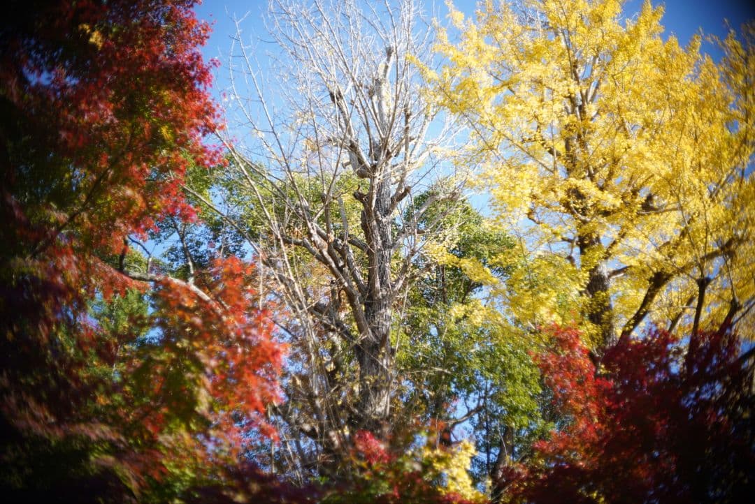 【動作確認済】OLYMPUS F.zuiko 38mm f1.8 初期保証付き