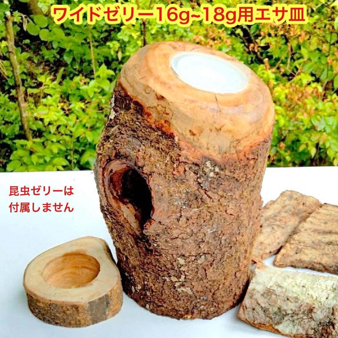 あ様 リクエスト 2点 まとめ商品　隠れ家　樹洞　クワリウム　エサ皿　クワガタ