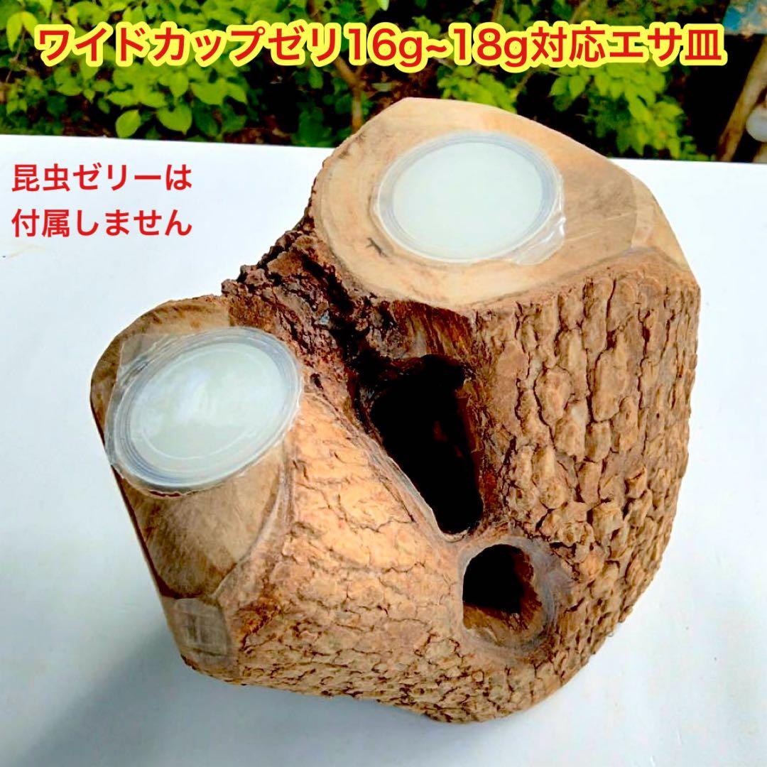 あ様 リクエスト 2点 まとめ商品　隠れ家　樹洞　クワリウム　エサ皿　クワガタ