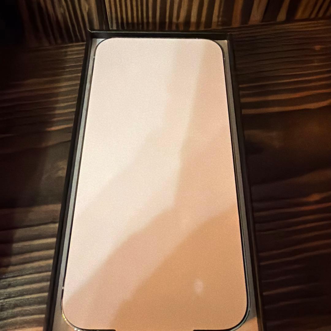 新品　エクスプレス交換品iPhone13ProMax 256GB