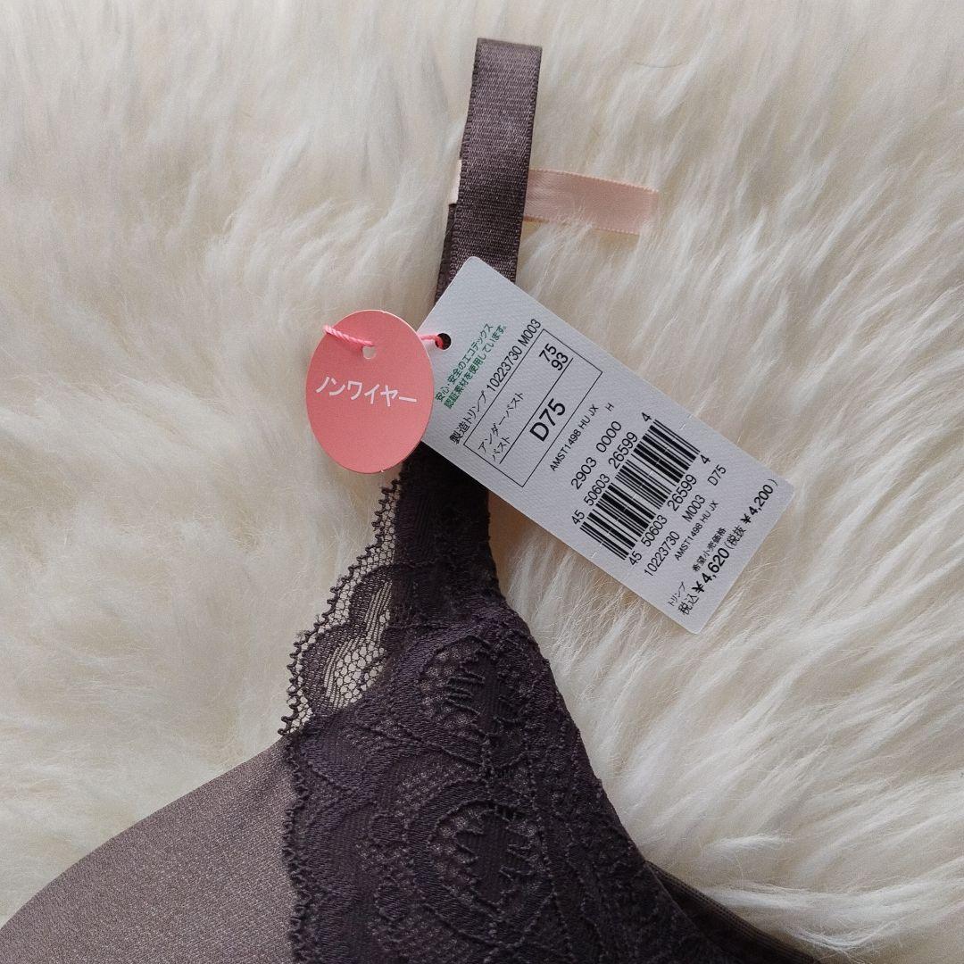 トリンプ アモスタイル 1498　003　D75 Lセット　定価7480円