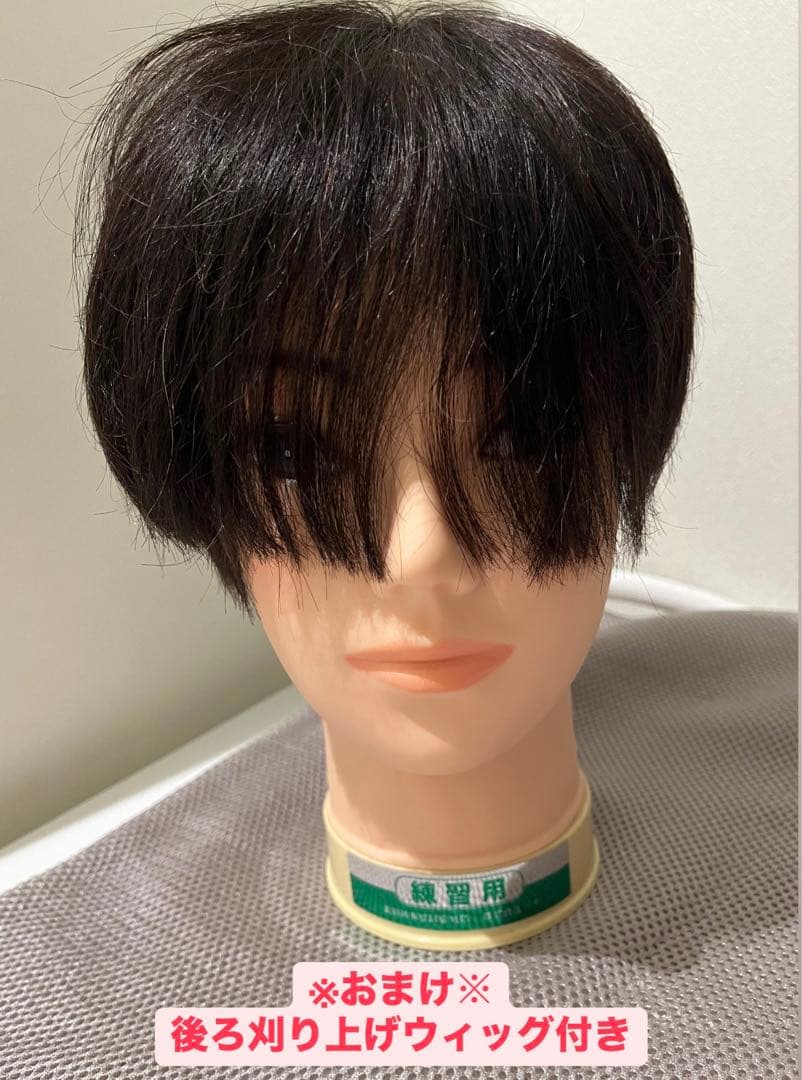 国家試験用カットウィッグ3頭新品未使用➕おまけウィッグ付き