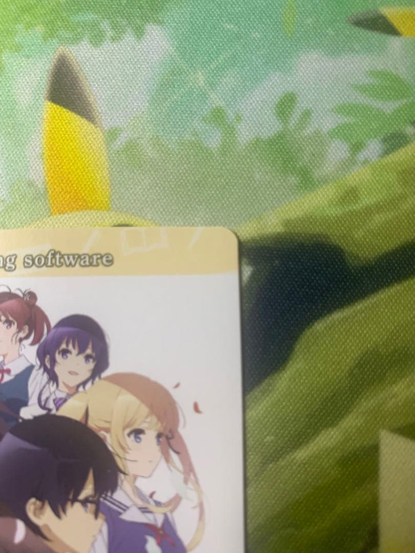 ビルディバイド　加藤恵　blessing software サイン