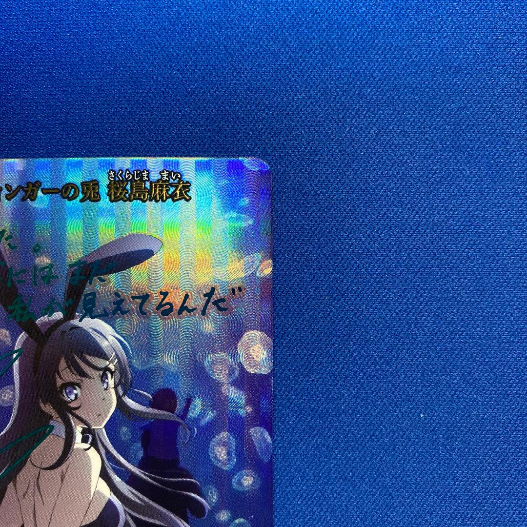 ビルディバイドブライト　シュレディンガーの兎　桜島麻衣　SC